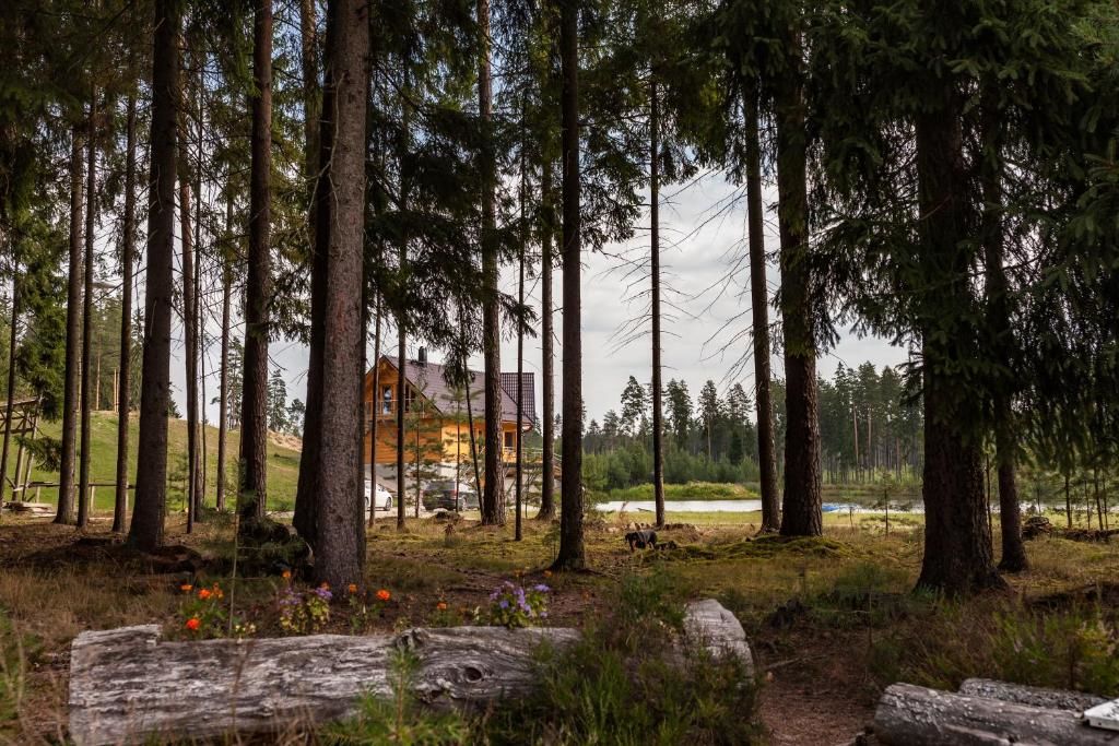 Дома для отпуска Metsjärve Accommodation Puskaru