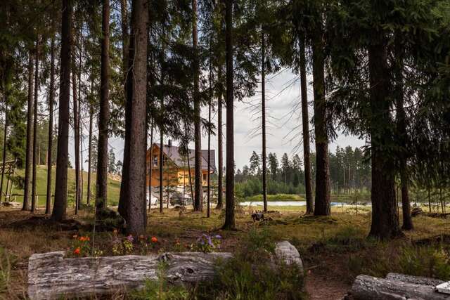 Дома для отпуска Metsjärve Accommodation Puskaru-30